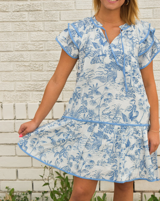 Blue/White Toile Print Mini Dress (Wishlist)