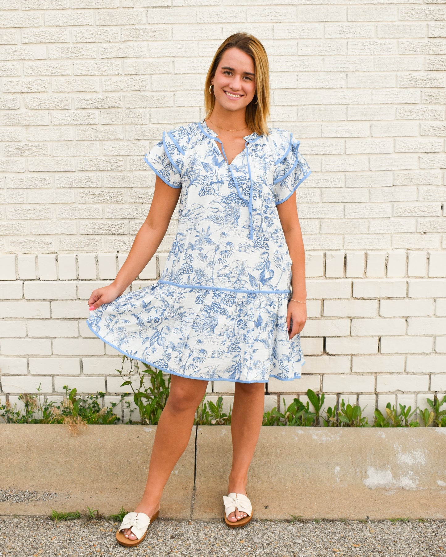 Blue/White Toile Print Mini Dress (Wishlist)