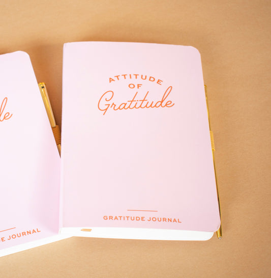 Gratitude Journal w/Pen (Design Works)